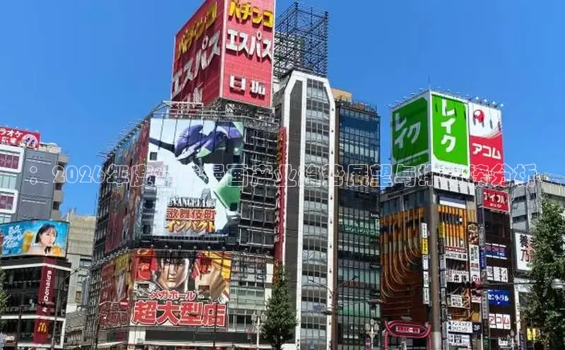 51动漫网